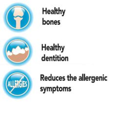   Panzi | FitActive vitamin FIT-a-Calci Plus vitamin kutyáknak - 60db