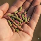 Panzi Tavi Haltáp | Lebegő sticks (rudacska) alapeleség kerti tavi halak számára – 5 kg