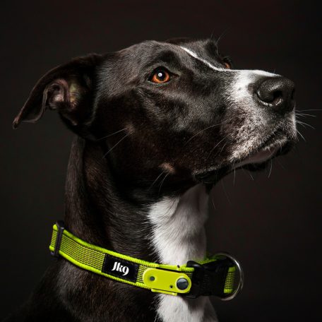 TICKLESS - JK9 nyakörv újratöthető ultrahangos kullancsriasztóval NEON