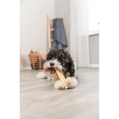 Trixie Sajtos rágó S | Rágójutalom kutyáknak – 13,5 cm / 45 g