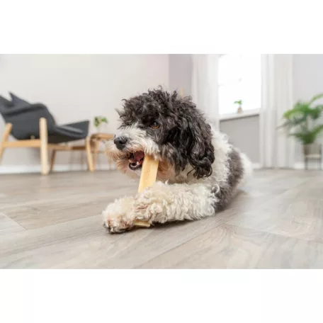 Trixie Sajtos rágó S | Rágójutalom kutyáknak – 13,5 cm / 45 g