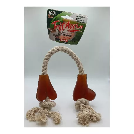  Two Large Bone Ends 