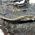 FitActive Snack | Szárított marhaszív – Prémium természetes jutalomfalat kutyáknak | 100 g