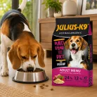 Julius-K9 Adult Hypoallergenic WildBoar & Rice | Hipoallergén száraz kutyatáp vaddisznóval és rizzsel – 12 kg