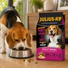 Julius-K9 Adult Hypoallergenic WildBoar & Rice | Hipoallergén száraz kutyatáp vaddisznóval és rizzsel – 12 kg