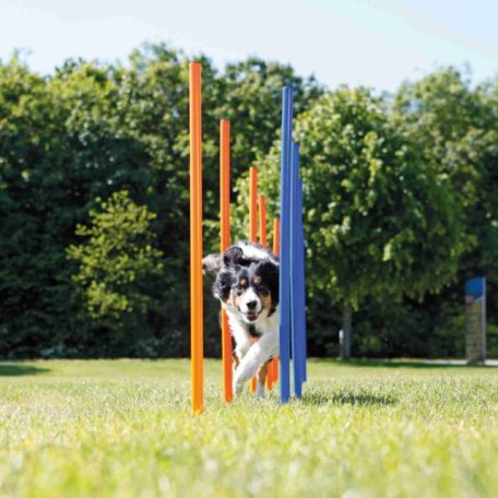 Trixie | Dog Activity játék Agility szlalom - 115x3 cm