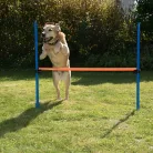Trixie | Dog Activity játék Agility akadály - 123x115 cm