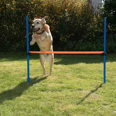 Trixie | Dog Activity játék Agility akadály - 123x115 cm