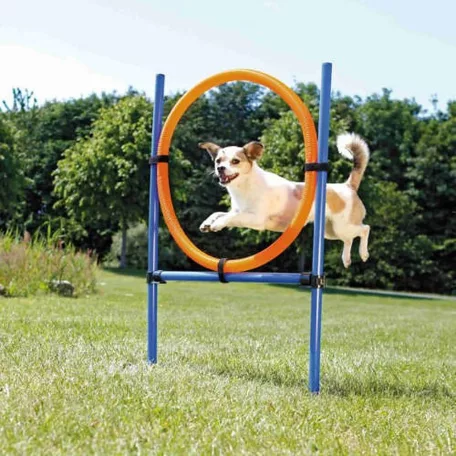 Trixie  Dog Activity | Játék Agility gyűrű