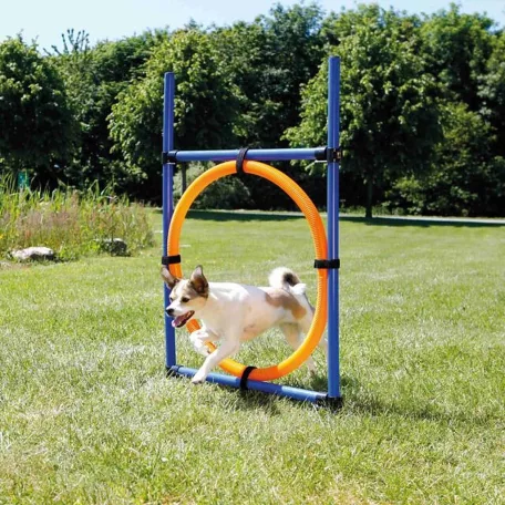 Trixie  Dog Activity | Játék Agility gyűrű
