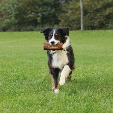 Trixie Preydummy | Játék (dummy) kutyakiképzéshez - 8x20 cm