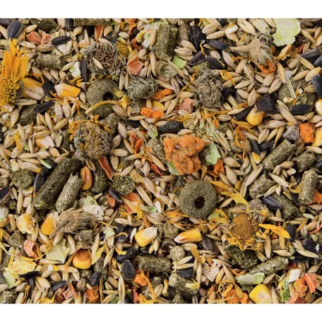 Dajana Country Mix | Teljes értékű degu eledel - 500 g