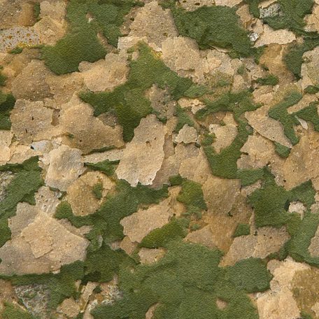 Sera Vipan XL | Prémium nagy lemezes alapeleség nagytermetű díszhalak részére – 20 liter / 4 kg