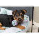 Trixie Junior Rope Dumbbel | Játék poliészter/pamutból (súlyzó) kutyák részére - 15 cm