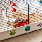 Ferplast Criceti 9 Space | Galaktikus témájú hörcsögketrec kiegészítőkkel és dekorációval – 46 x 30 x 22 cm