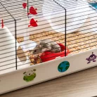 Ferplast Criceti 9 Space | Galaktikus témájú hörcsögketrec kiegészítőkkel és dekorációval – 46 x 30 x 22 cm
