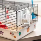 Ferplast Criceti 9 Space | Galaktikus témájú hörcsögketrec kiegészítőkkel és dekorációval – 46 x 30 x 22 cm