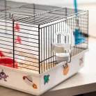 Ferplast Criceti 9 Space | Galaktikus témájú hörcsögketrec kiegészítőkkel és dekorációval – 46 x 30 x 22 cm