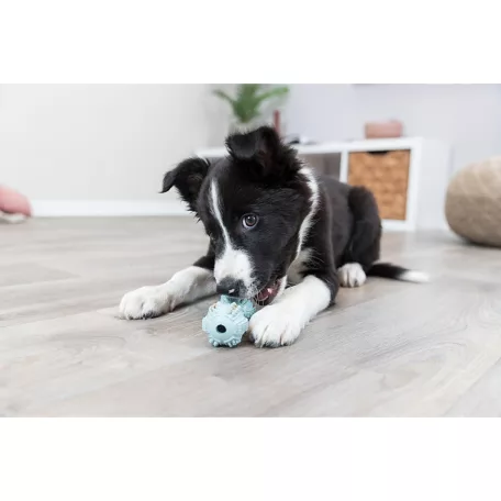 Trixie | Junior játék( súlyzó) - 9 cm