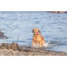 Trixie | Aqua Toy vizi játék világító torony kötélen, 20cm