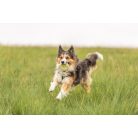 Trixie | Hedgehog - sündisznó kutya játék - TPR- 12cm