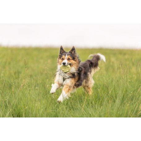 Trixie | Hedgehog - sündisznó kutya játék - TPR- 12cm