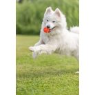 Trixie | Honeycomb labda játék TPE - 6cm - narancs