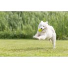 Trixie  w Honeycomb labda játék TPE - 11cm - lime