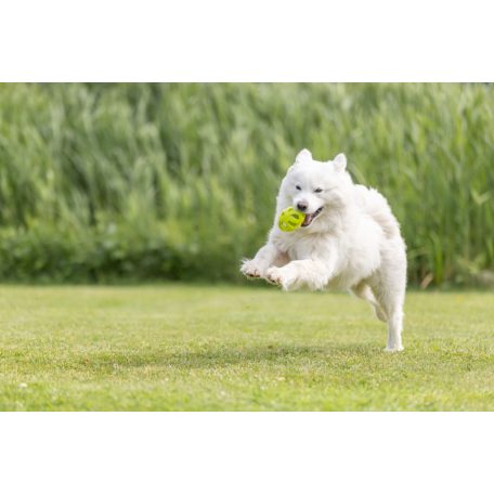 Trixie  w Honeycomb labda játék TPE - 11cm - lime