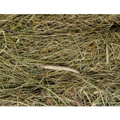 JK Natúr széna rágcsálóknak - 500 g