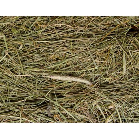 JK Natúr széna rágcsálóknak - 500 g