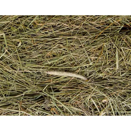 JK Natúr széna rágcsálóknak - 500 g