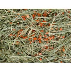 JK Széna répával rágcsálók részére - 500 g