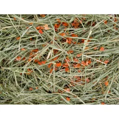 JK Széna répával rágcsálók részére - 500 g