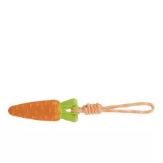  Carrot on a Rope 
