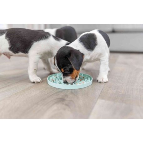 Trixie junior Licking Plate | Snack tányér (menta) kutyák részére - 21 cm