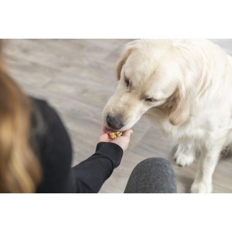 Trixie | Sütőforma csont alakú snackekhez, szilikon - 38x28 cm