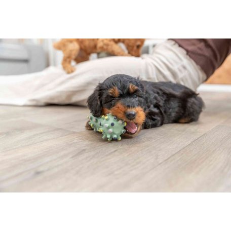 Trixie Junior Mini Dumbbell | Játék latexből (súlyzó) kutyák részére - 10 cm