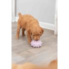 Trixie Junior Mini Ring | Játék latexből (karika) kutyák részére - 8 cm