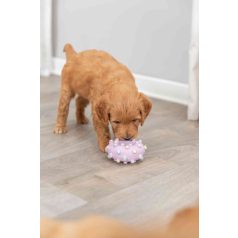   Trixie Junior Mini Ring | Játék latexből (karika) kutyák részére - 8 cm