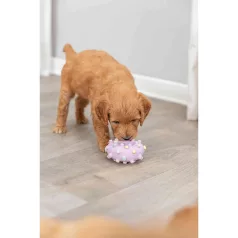   Trixie Junior Mini Ring | Játék latexből (karika) kutyák részére - 8 cm