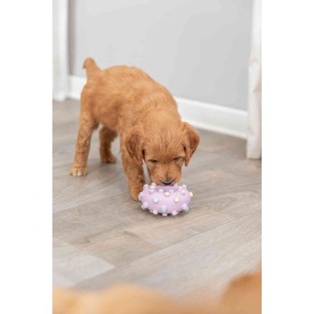 Trixie Junior Mini Ring | Játék latexből (karika) kutyák részére - 8 cm