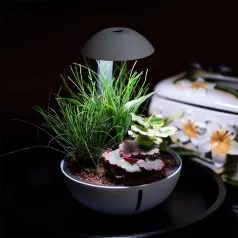   Chihiros | Tiny Terrarium Egg – Mini növényinstallációkhoz és mohakompozíciókhoz készült LED terrárium (10 W, 550 lm)