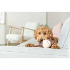 Trixie Moose,plush - plüss jávorszarvas, 36cm