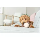 Trixie Moose,plush - plüss jávorszarvas, 36cm
