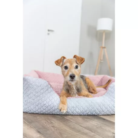 Trixie Kaline Mio | Extra méretű peremes fekvőhely macskáknak és kutyáknak – 80 × 65 cm, szürke/rózsaszín