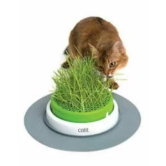   Hagen | Catit Senses 2.0 Grass Planter -  cicafű ültető rendszer 