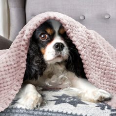 Nobleza Jacquard flanel takaró,powder pink 80*80cm