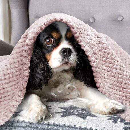 Nobleza Jacquard flanel takaró,powder pink 80*80cm