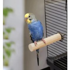 Nobleza | Fa ülőrúd - 2x10 cm